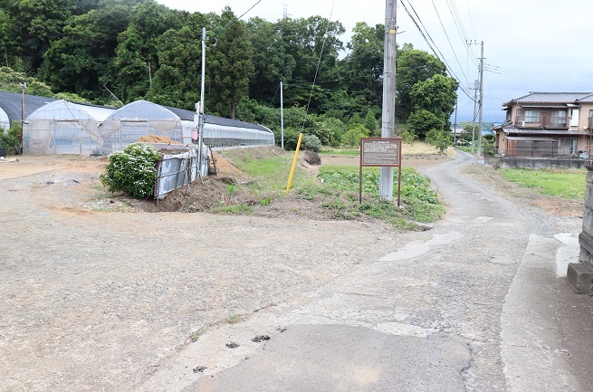 d0183387_21332708.jpg