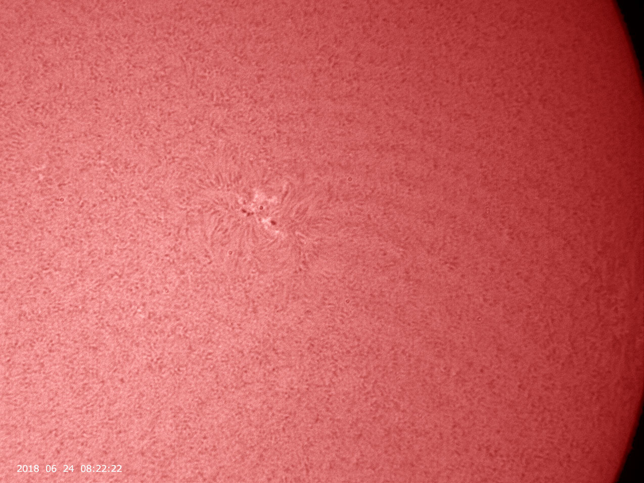 6月24日の太陽_e0174091_11253886.jpg