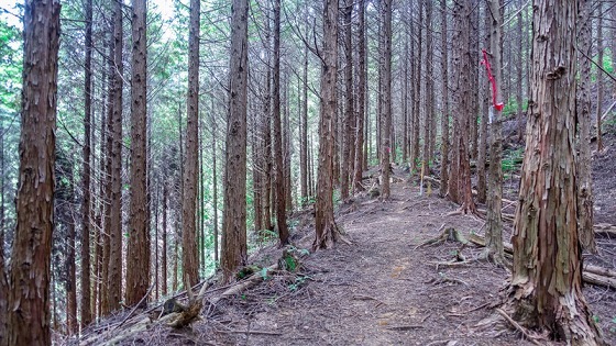 e0176993_06484181.jpg