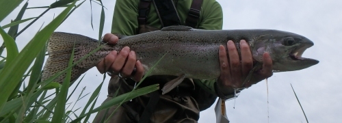 a0258799_15550781.jpg