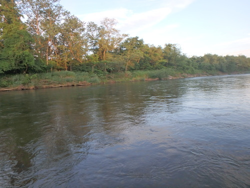 a0258799_16033769.jpg