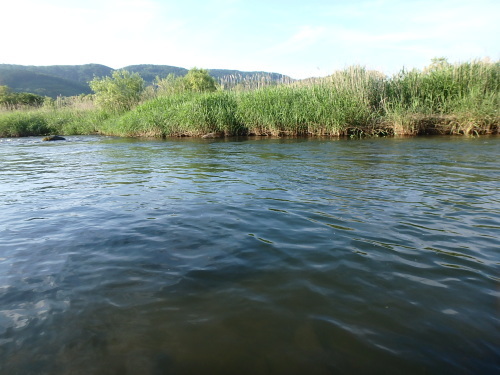 a0258799_16054182.jpg