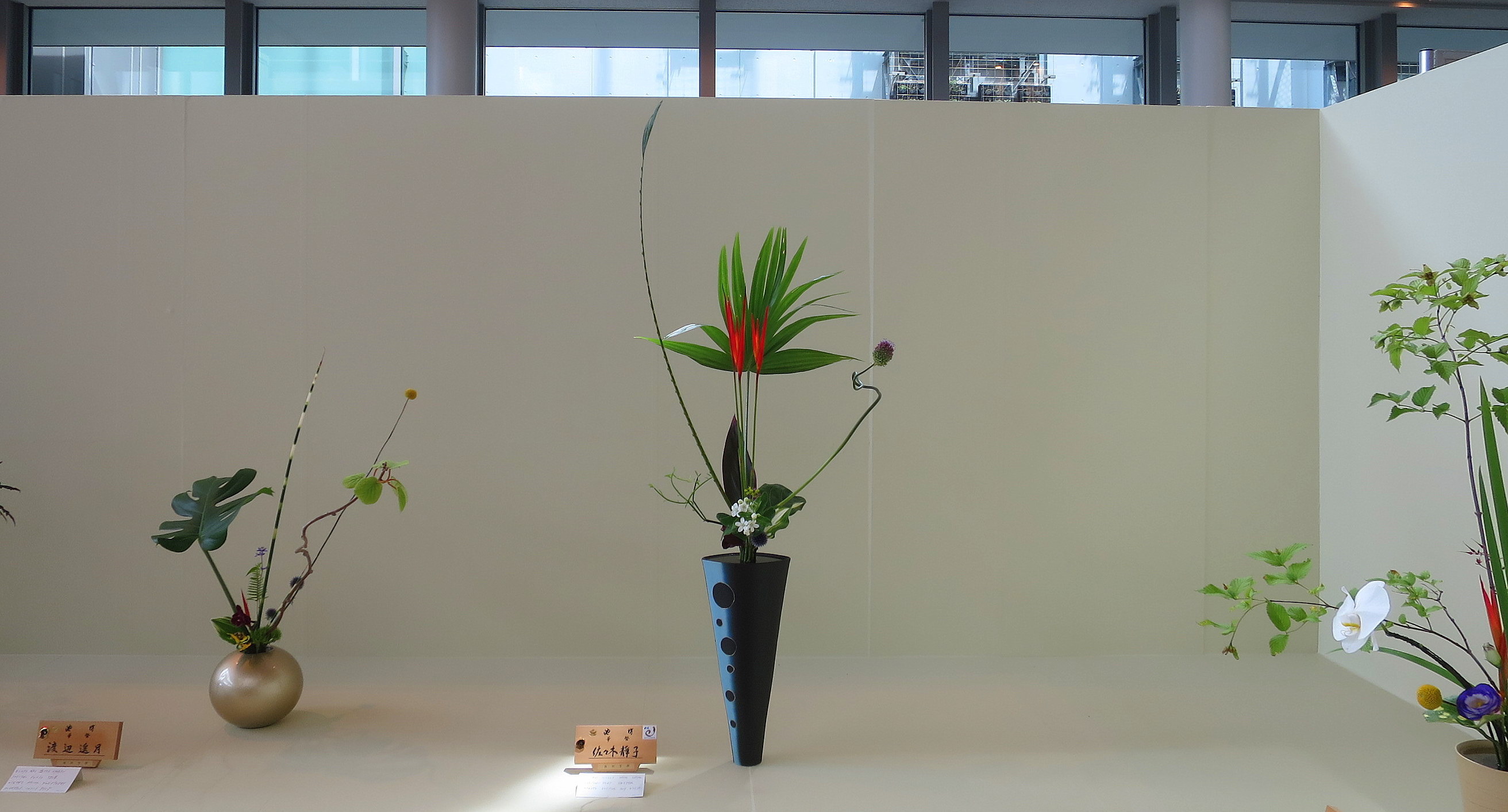 支部花展終了しました。_a0214206_10364051.jpg