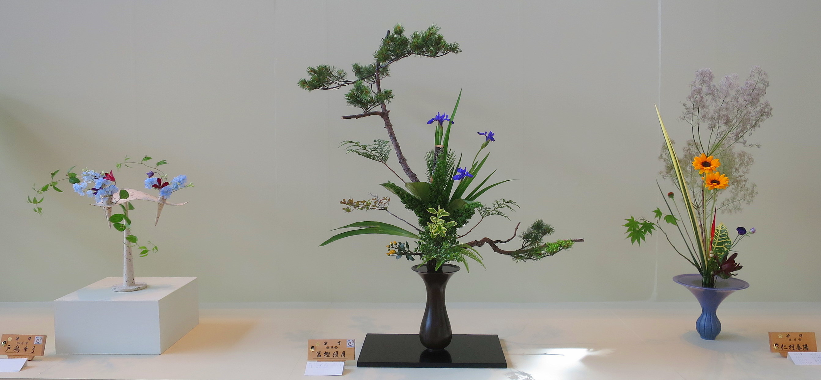 支部花展終了しました。_a0214206_10370215.jpg