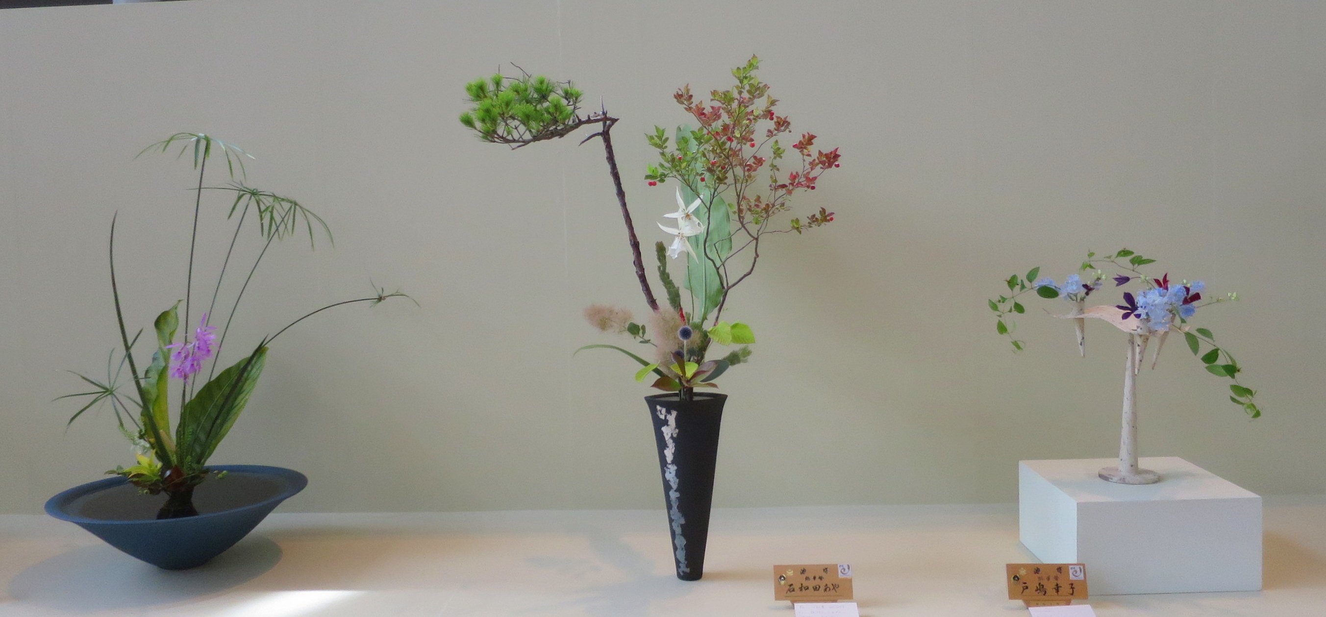 支部花展終了しました。_a0214206_10371661.jpg
