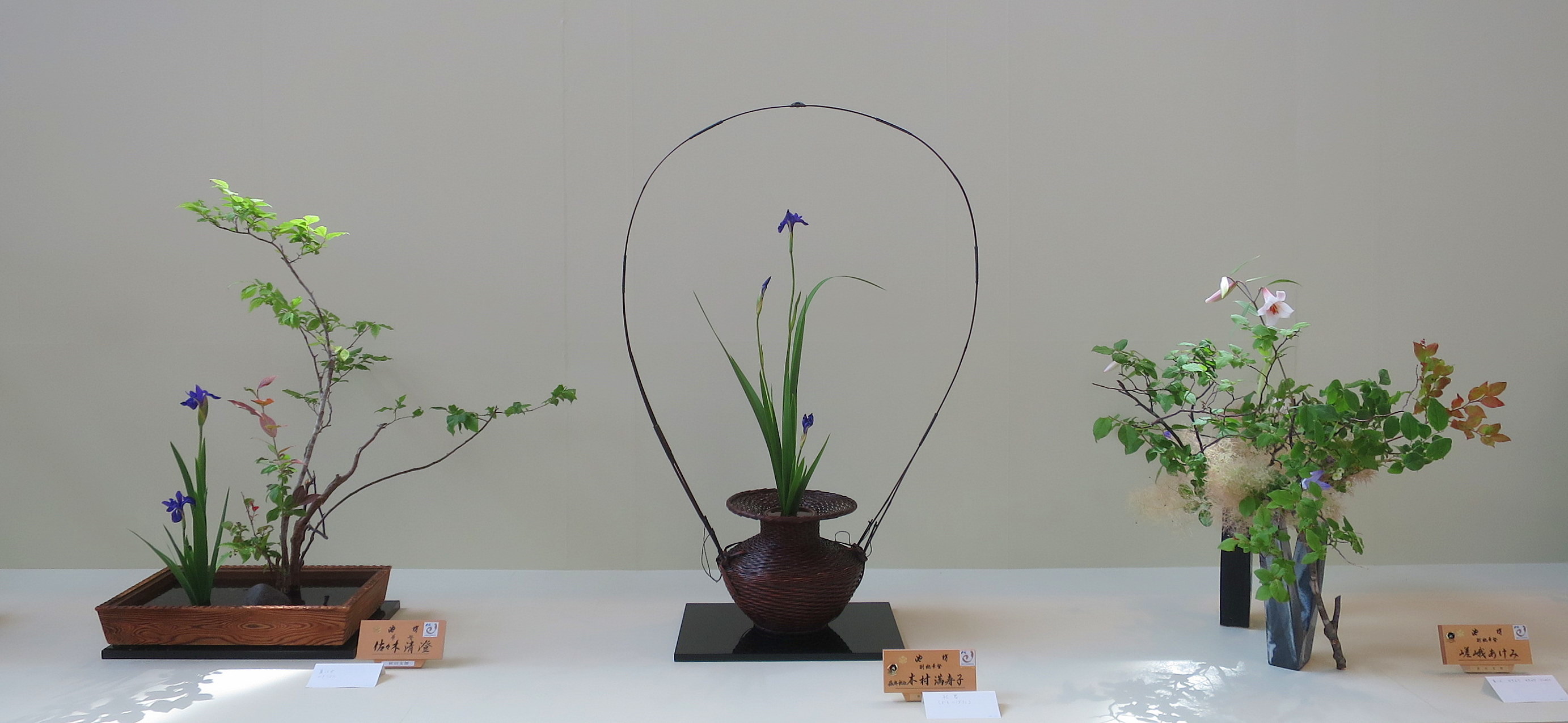 支部花展終了しました。_a0214206_10372847.jpg