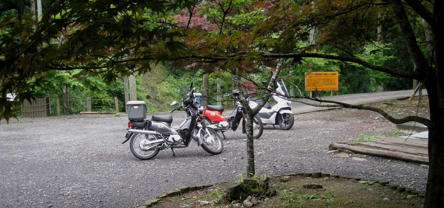e0003910_2134637.jpg