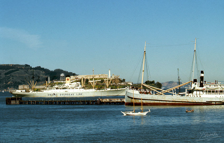 MV Oriental Pearl _f0344614_11553308.jpg