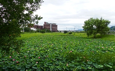 b0055215_21471853.jpg
