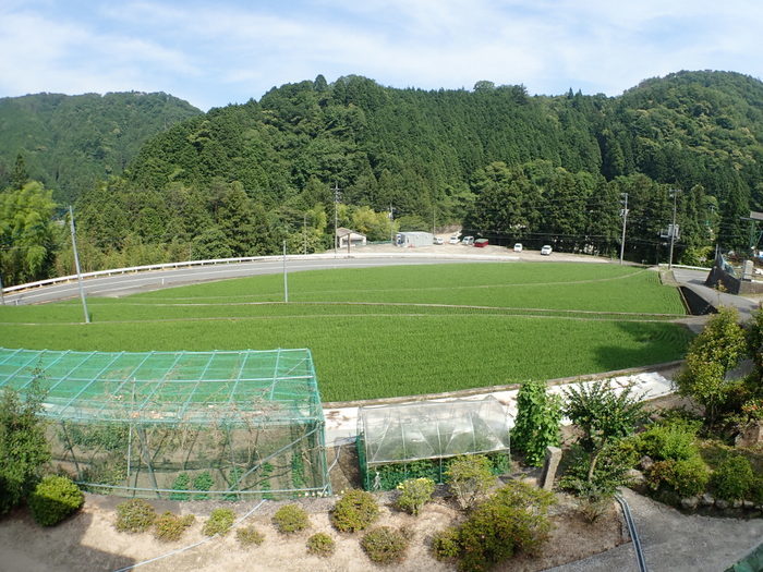 いいお天気_c0116915_23381954.jpg