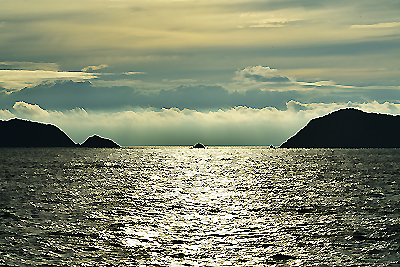 b0169522_21330793.jpg