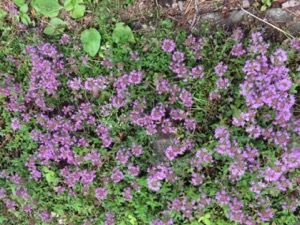 c0048023_10160188.jpg