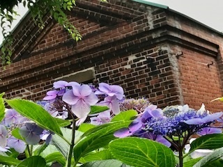 c0051529_12123697.jpg