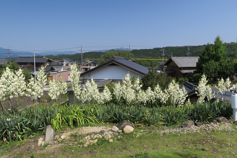最速サンバーワゴン登場_f0076731_21233336.jpg