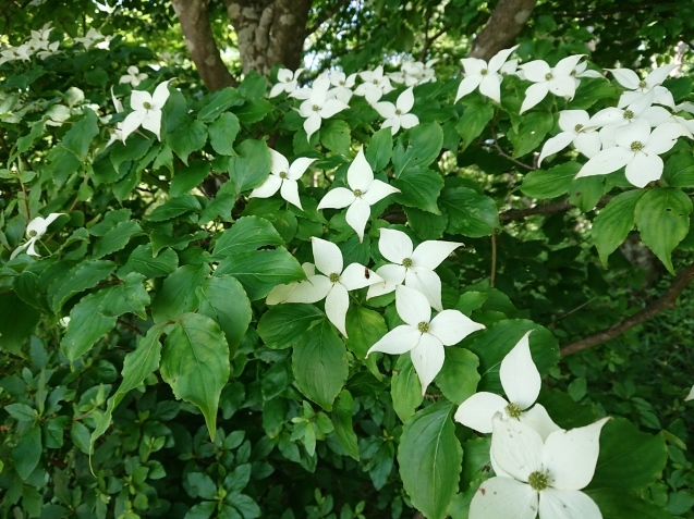 f0118332_22102700.jpg