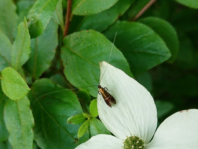 f0118332_22110294.jpg