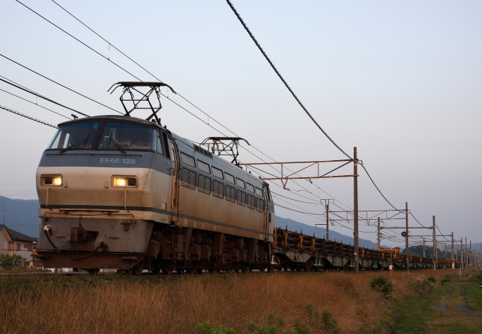 b0314633_14473151.jpg