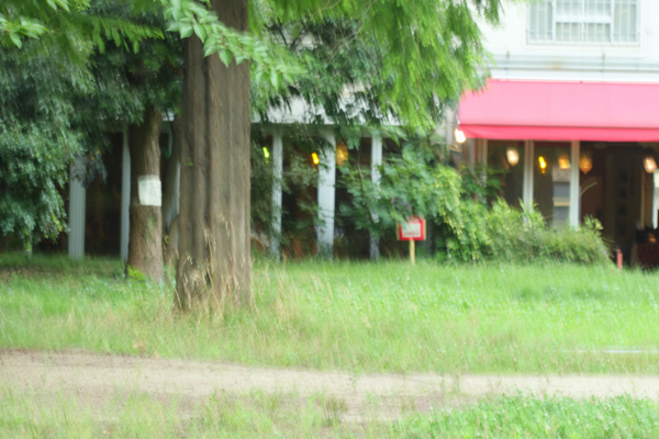 c0227134_12142387.jpg