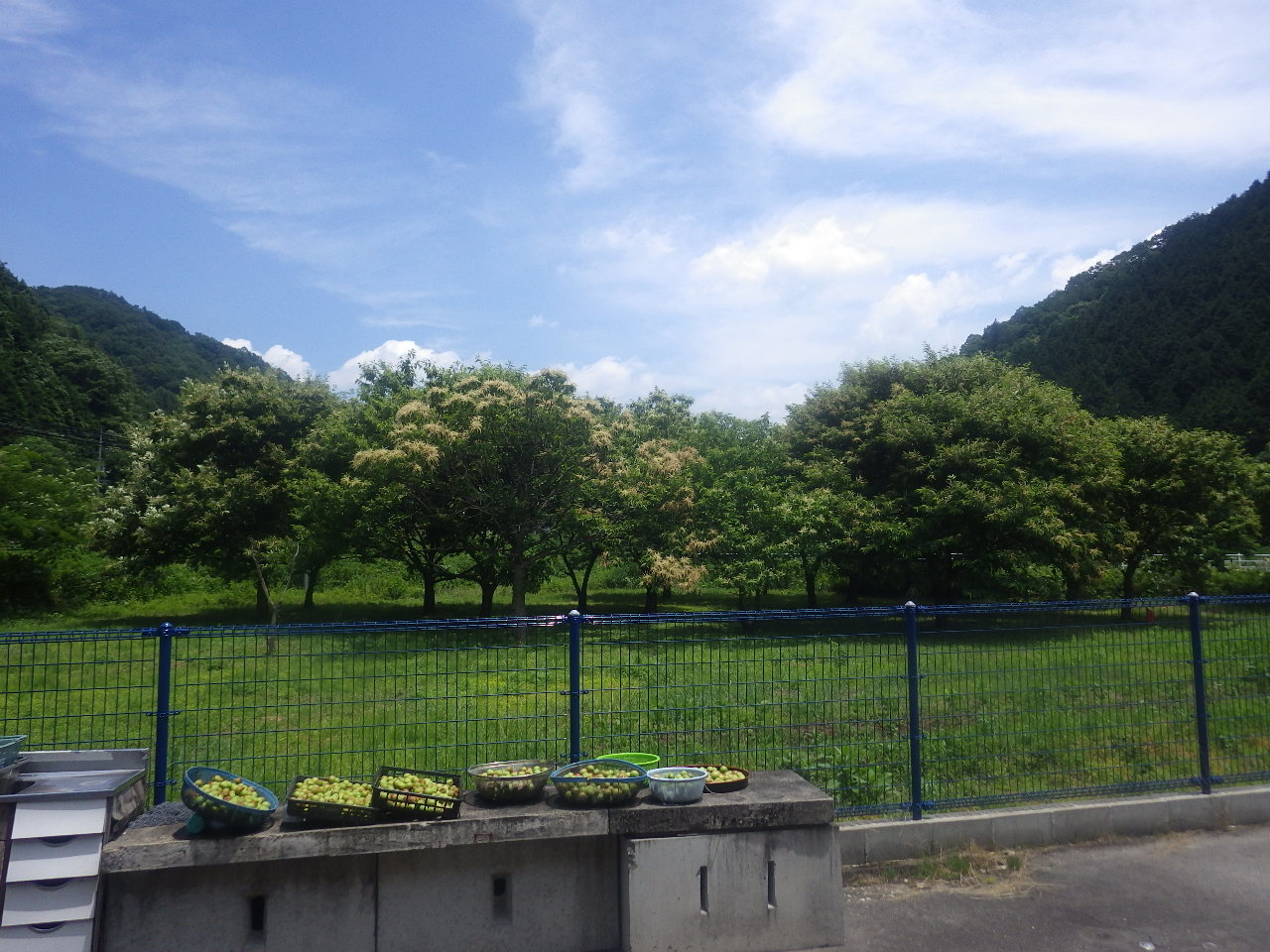 c0300035_10133123.jpg