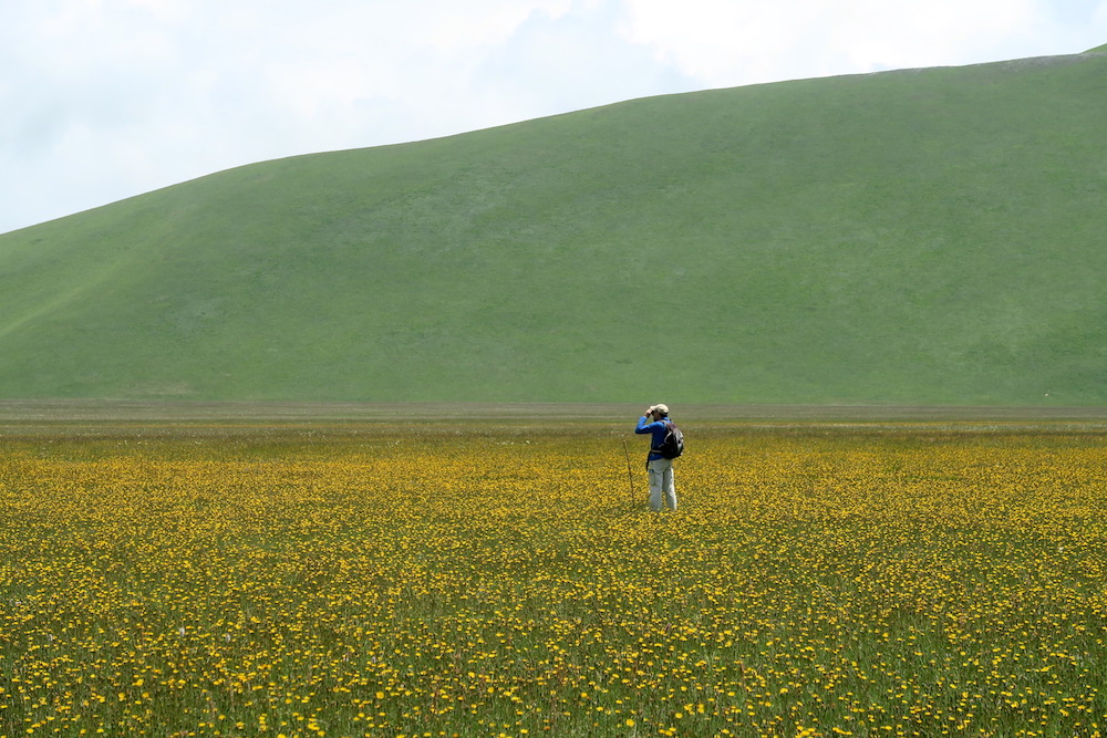 地震2年後のカステッルッチョと高原の花_f0234936_6301393.jpg