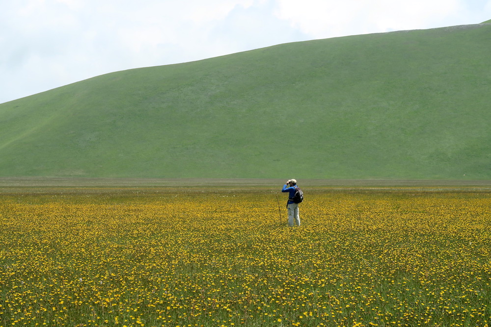 地震２年後のカステッルッチョと高原の花_f0234936_6301393.jpg