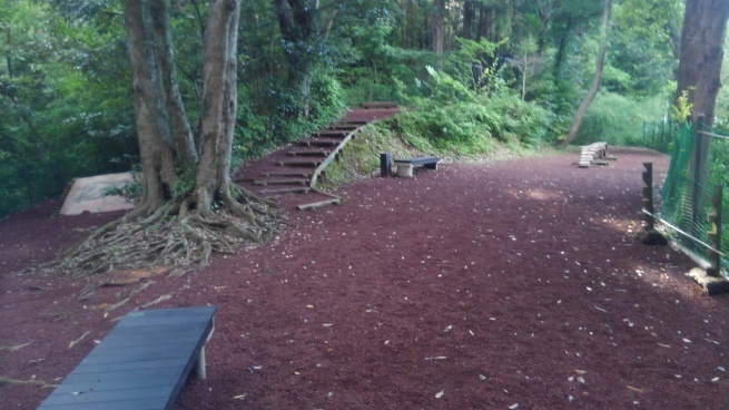 f0210439_23351422.jpg