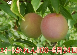 a0325841_21221066.jpg