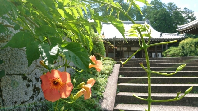 b0148050_18203053.jpg