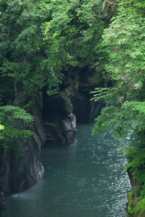 d0342652_1004127.jpg