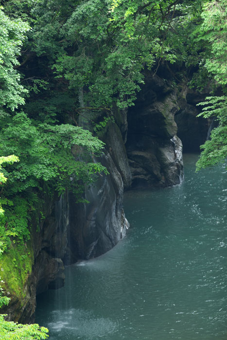 d0342652_10198.jpg