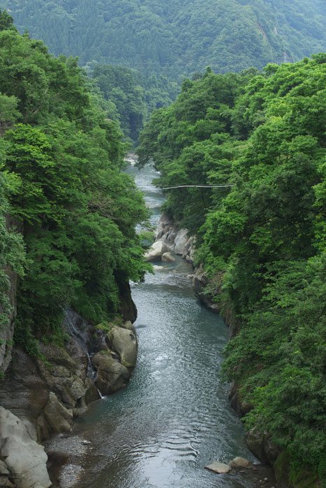 d0342652_102266.jpg