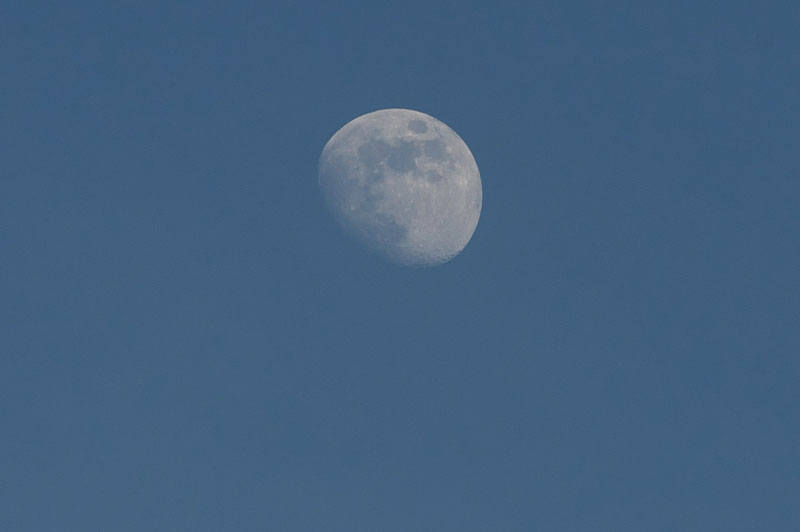 d0342652_9552296.jpg