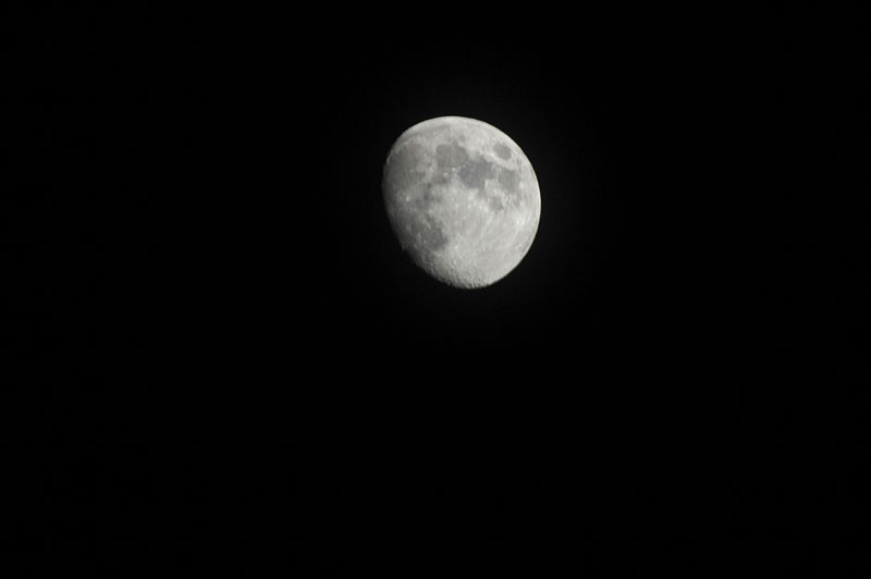 d0342652_956923.jpg