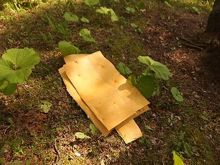 e0004756_21424111.jpg