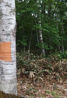 e0004756_21480451.jpg