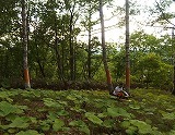 e0004756_21481517.jpg