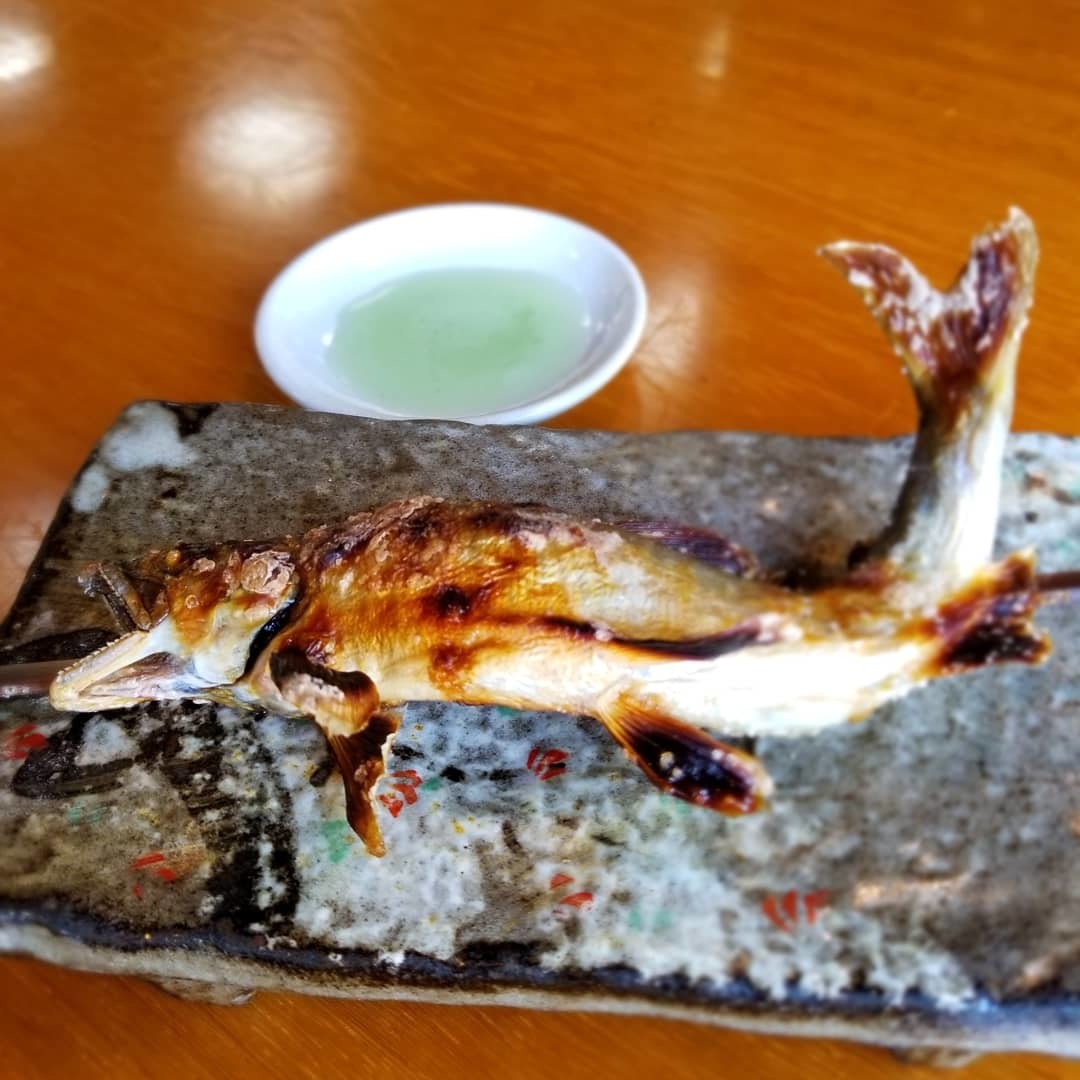 川魚料理 ゆうすげ ＊ うな重と活鮎の塩焼き_f0236260_22213106.jpg