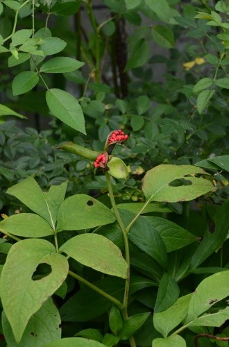 c0186463_23344815.jpg