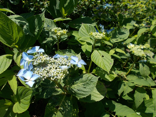c0219866_19043191.jpg