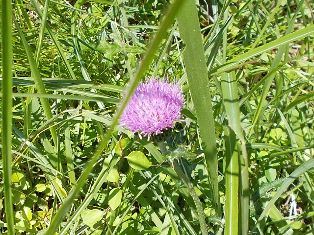 c0219866_19052789.jpg