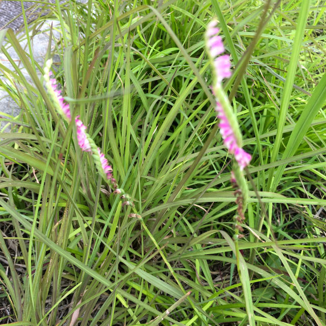 b0325867_19345648.jpg