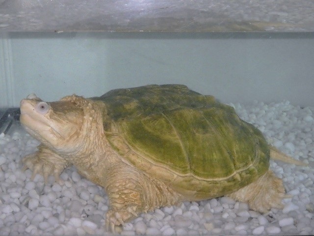 c0105569_00474274.jpg