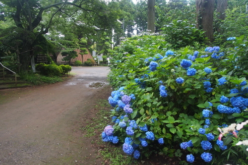 d0193569_10501753.jpg