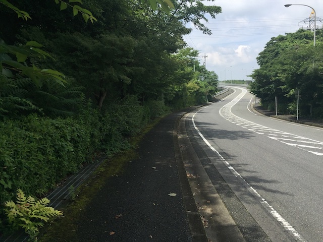 e0139376_08523954.jpg