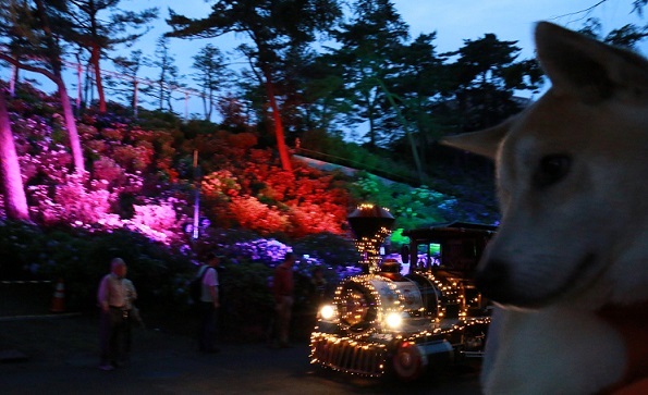 f0230777_20121085.jpg