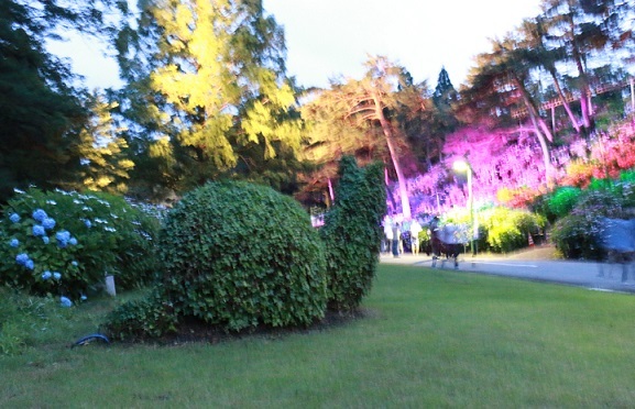 f0230777_20163294.jpg