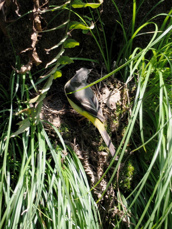 f0372177_16253556.jpg