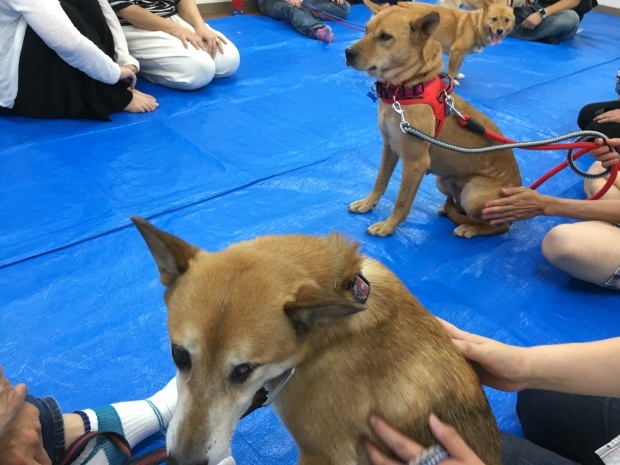 b0377882_11384212.jpeg