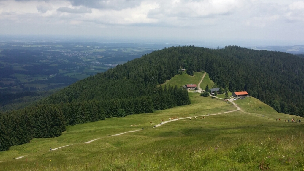 b0169887_06065658.jpg