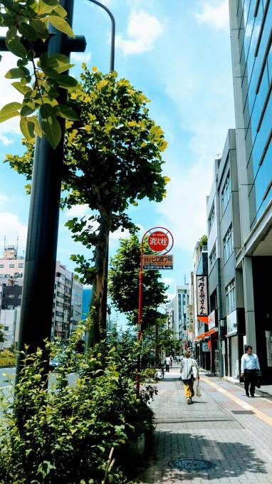 チャリで日本橋へ~帰還&巣鴨編~_b0210688_19013211.jpg